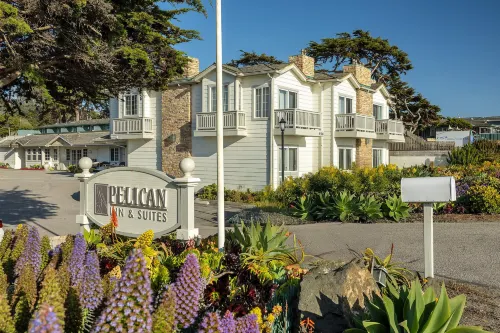 Pelican Inn & Suites À ne pas manquer Photos