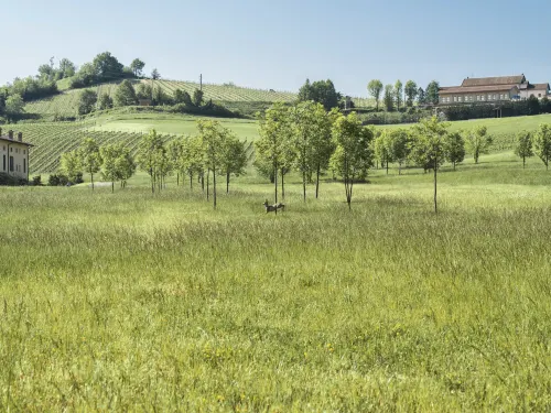 Serravalle Golf Hotel Near Hotel Photos