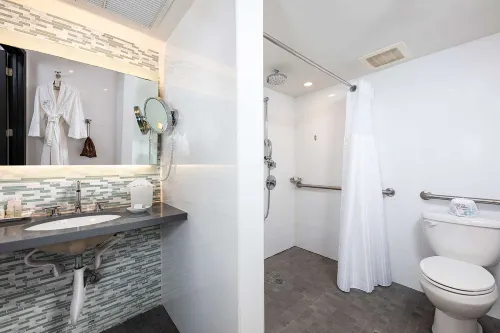 The Palms Hotel & Spa Miami Beach Photos
