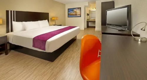 Avanti International Resort Rooms Photos