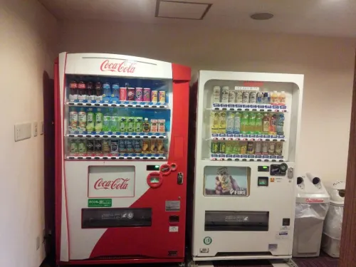 Mito Riverside Hotel Photos