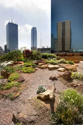 Fairmont Dallas À proximité de l'hôtel Photos