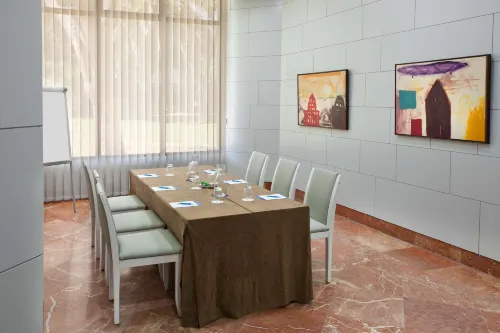 NH Avenida Jerez Business Facilities Photos