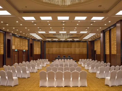 Radisson Blu Hotel & Convention Center, Alexandria Geschäftseinrichtungen Photos