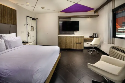 The Moment Hotel Rooms Photos
