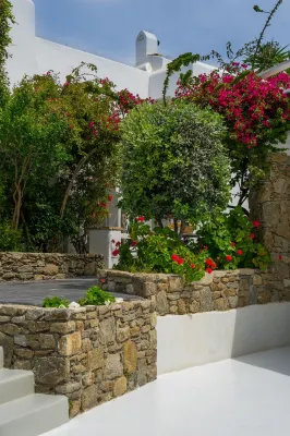 Semeli Hotel Mykonos Extérieur Photos