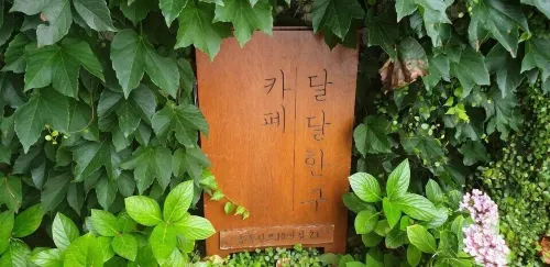 제주 나인부띠끄 호텔 호텔 주변 Photos