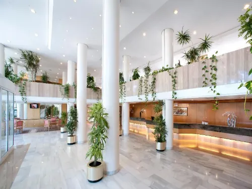 Grupotel Gran Vista & Spa Espaces publics Photos