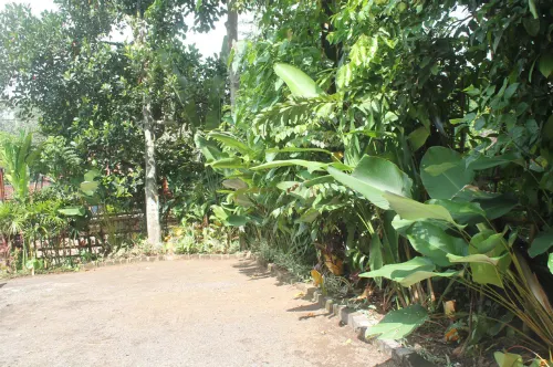 Alam Pracetha Bali Ubud من الخارج Photos