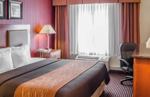 Hotel Hanna Camere Photos