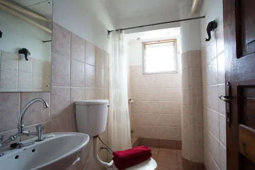 Q-Bar & Guesthouse Rooms Photos