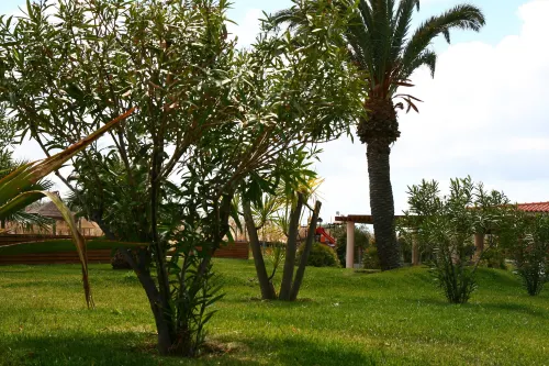 Vila Baleira Porto Santo Außen Photos