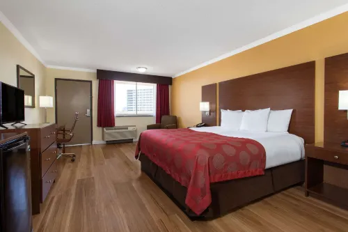 Ramada by Wyndham Tampa Westshore Airport South Photos