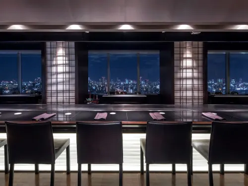 Art Hotel Osaka Bay Tower Relaksasi & Rekreasi Photos