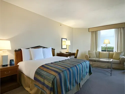 Hilton Atlanta Northeast Zimmer Photos