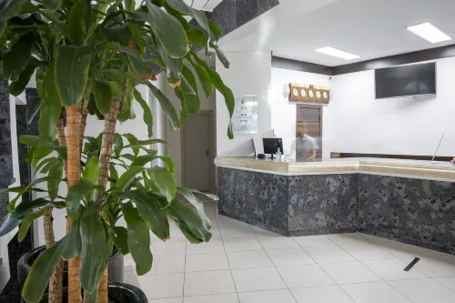 Hotel Ilha da Madeira พื้นที่ส่วนกลาง  Photos