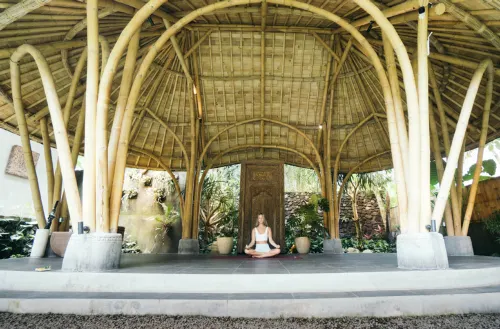 Amarea Resort Ubud by Ini VIE Hospitality Public Areas Photos