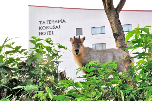 Tateyama Kokusai Hotel Photos