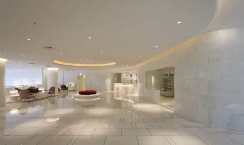 Hotel Elsereine Osaka Area Publik Photos
