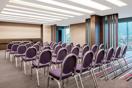 Sheraton Grand Tbilisi Metechi Palace Fasilitas Bisnis Photos