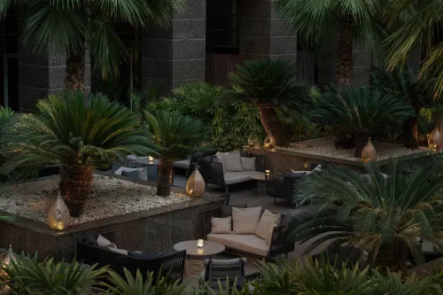 Ritz Carlton DIFC Downtown Dubai Общественные зоны Photos
