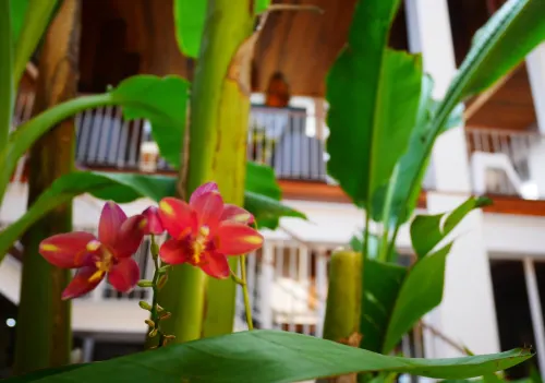 Nanda Heritage Hotel Photos