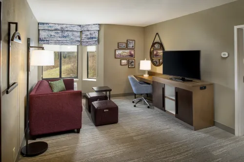Hampton Inn & Suites Binghamton/Vestal Chambres Photos