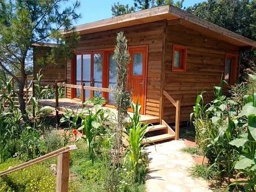 Kabak Avalon Bungalows Espaces publics Photos