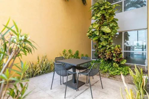 City Express by Marriott Chetumal Near Hotel Photos