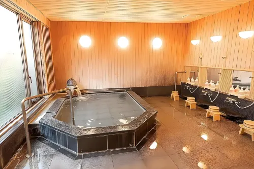 Hotel Castle Inn Suzuka Benessere e tempo libero Photos