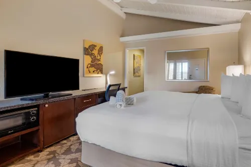 Best Western Plus Island Palms Hotel & Marina Rooms Photos