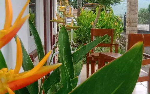 Seulawah Resort and Cafe Public Areas Photos