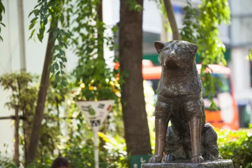 Wander Tokyo Shibuya À proximité de l'hôtel Photos