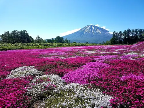 Midtown Niseko Near Hotel Photos