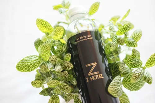 Z Hotel Johor Bahru Photos