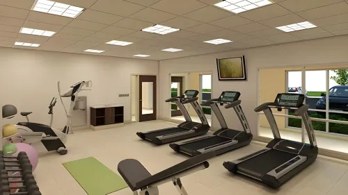 Holiday Inn Express & Suites Dallas-Frisco NW Toyota Stdm Leisure & Recreation Photos