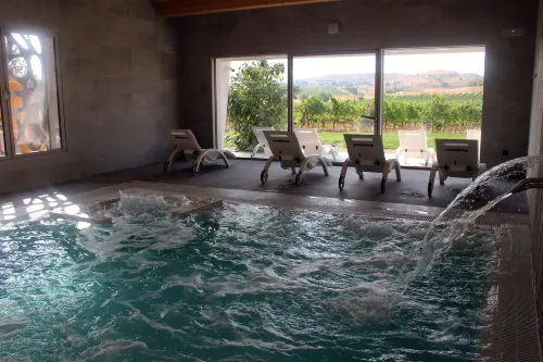Hotel Spa Tudanca Aranda Leisure & Recreation Photos