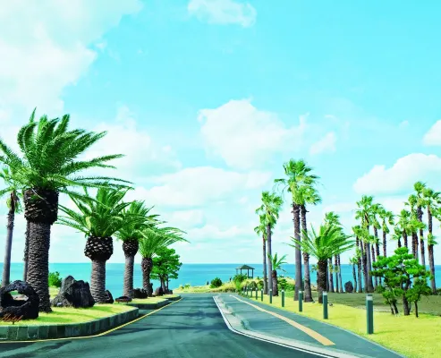 유니호텔 제주 호텔 주변 Photos