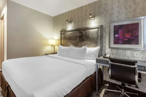 Comfort Inn Manhattan - Midtown West Camere Photos