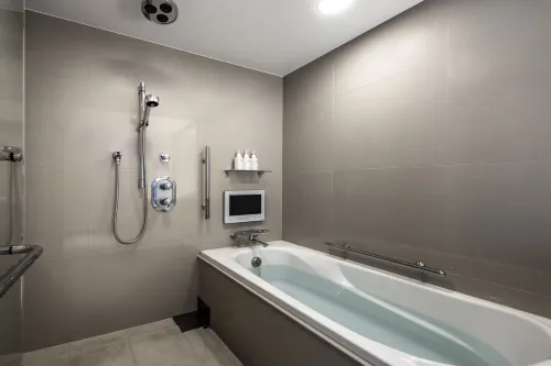 The Royal Park Hotel Kyoto Sanjo Leisure & Recreation Photos