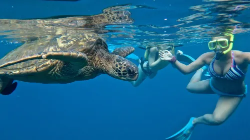 Holiday Inn Resort Kandooma Maldives - Kids Stay and Eat Free Photos
