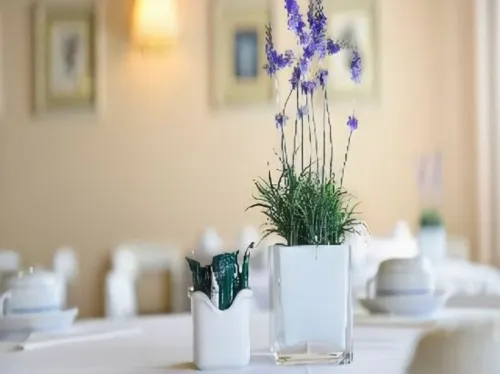Hotel Apartamento Solverde Dining Photos