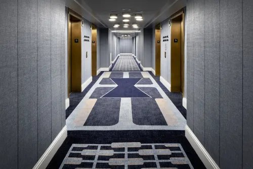 Fontainebleau Miami Beach Aree comuni Photos