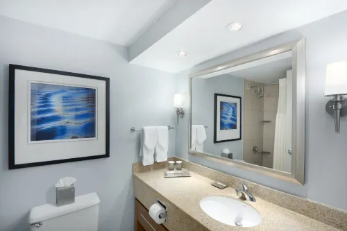 Hilton Long Island/Huntington Camere Photos