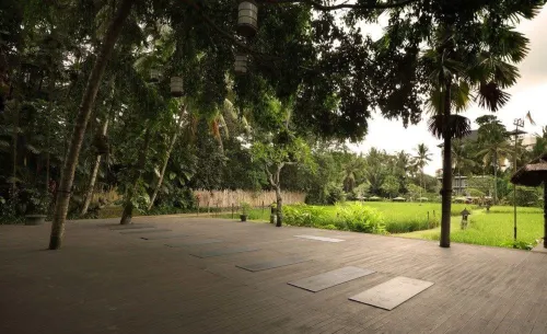 Plataran Ubud Hotel & Spa Dekat Hotel Photos