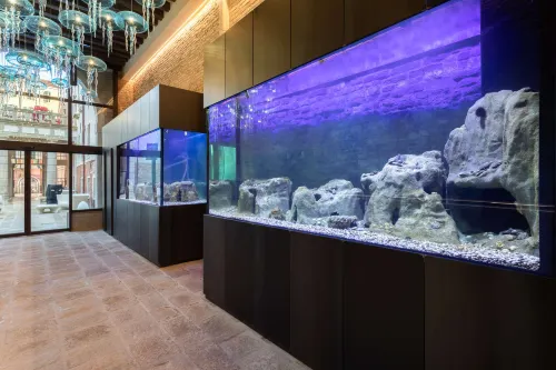 Hotel Aquarius Venice Espaces publics Photos