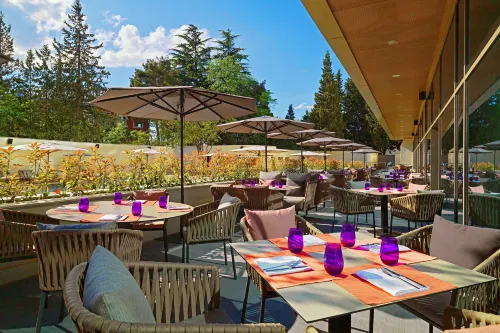 Sheraton Grand Tbilisi Metechi Palace Makanan Photos