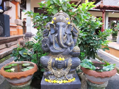 Bucu Guest House Photos