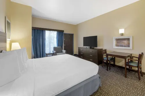 Best Western Naples Plaza Hotel Rooms Photos