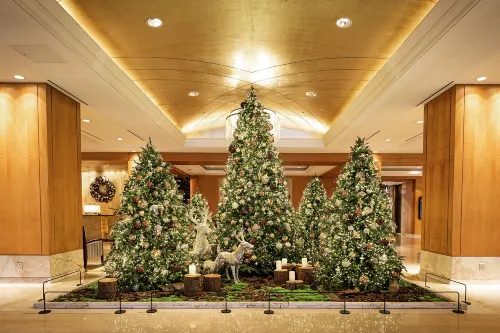 Lotte Hotel Seoul Executive Tower Public Areas Photos